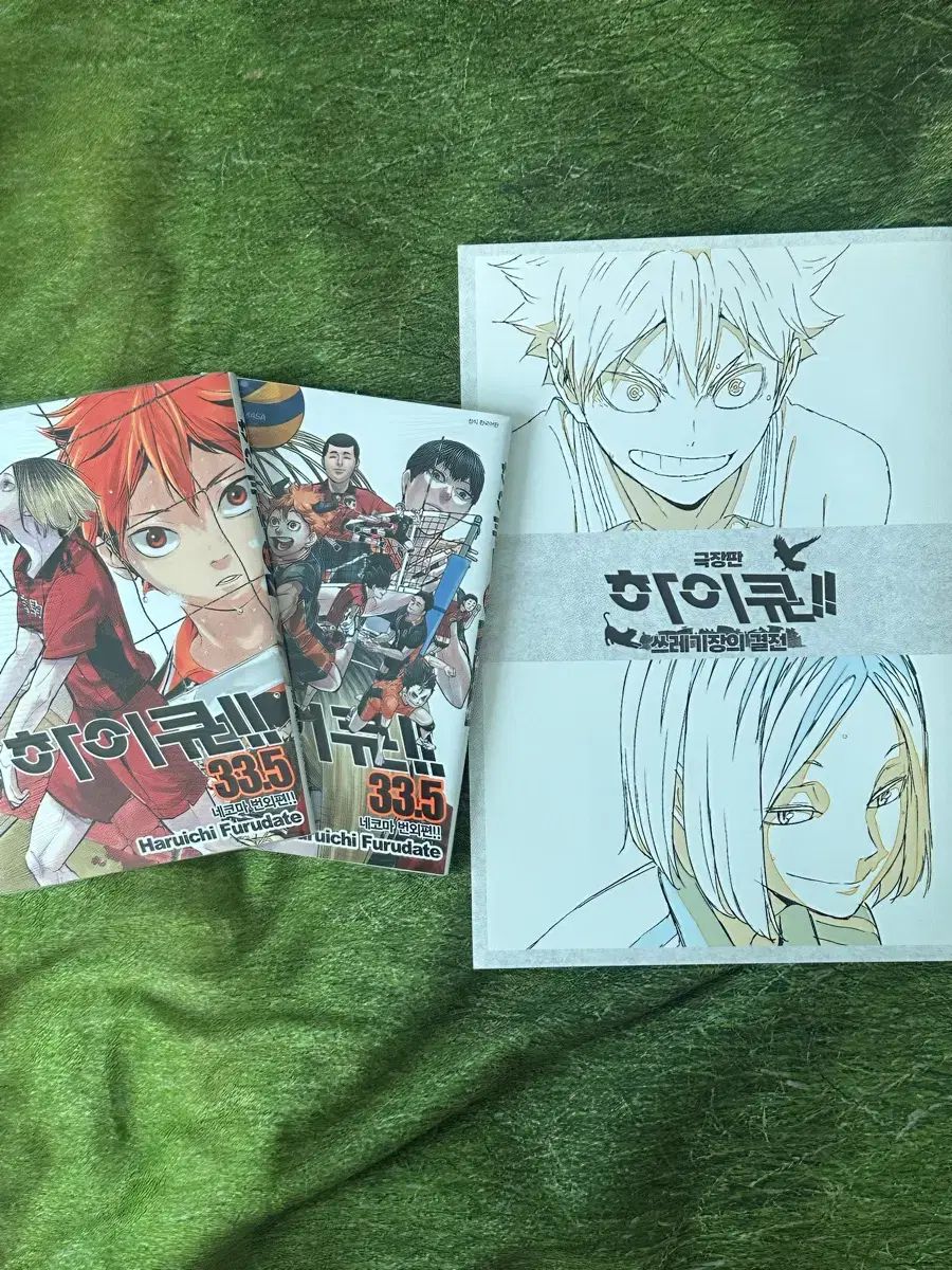 漫画 ハイキュー!! 漫画+特典