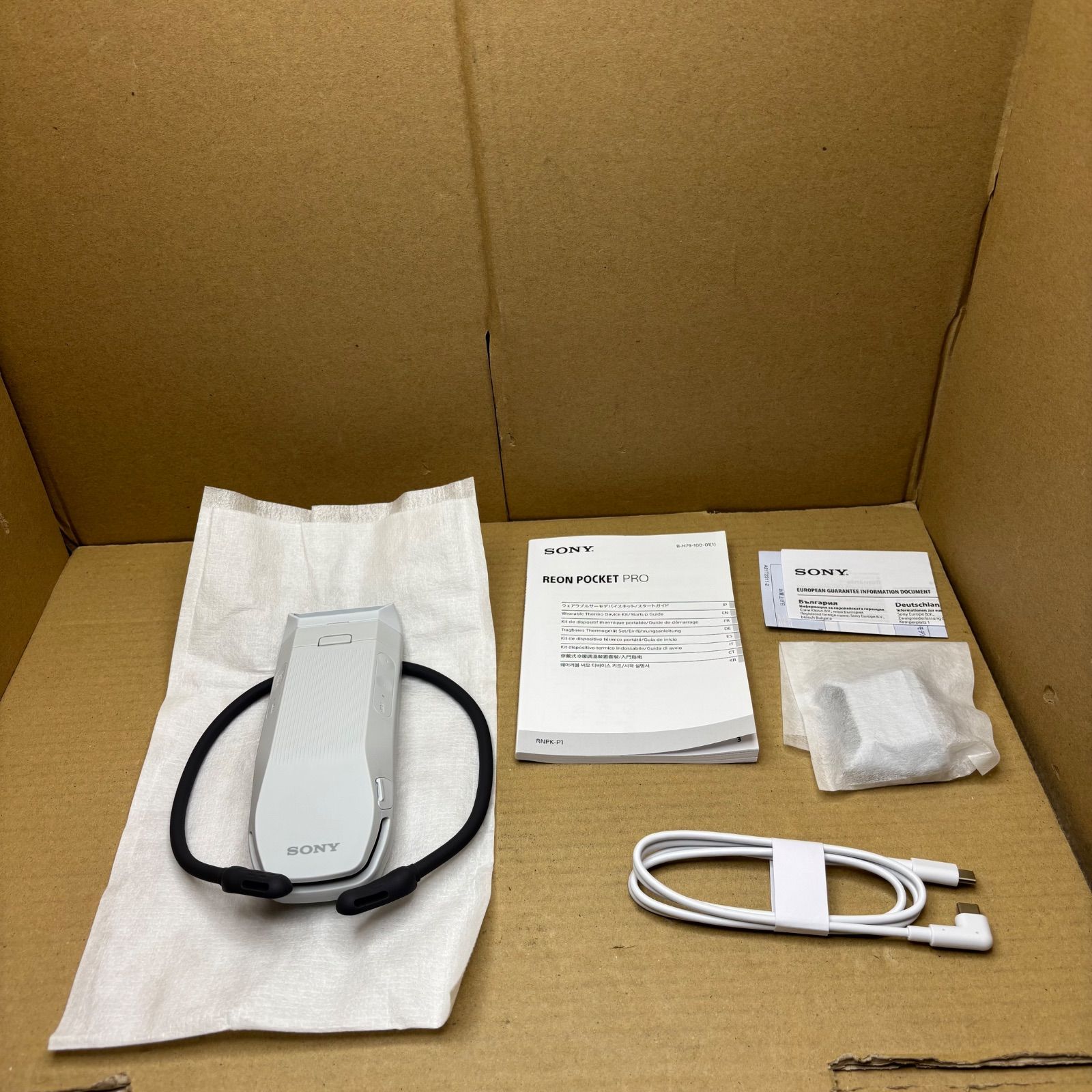 一度試したのみ ソニー(SONY) REON POCKET PRO RNPK-P1 ライトグレー 