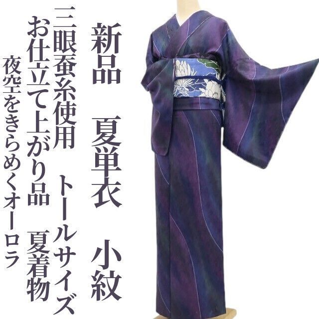 【新品・夏小紋】夏単衣 三眼蚕糸使用 お仕立て上がり品 夏着物 仕付け糸付 トールサイズ tomihisa“夜空をきらめくオーロラ”6268