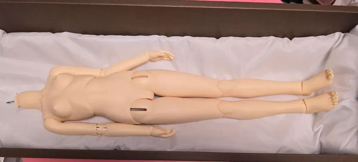 ボークス SD13 ノーマル 女の子 ボディ