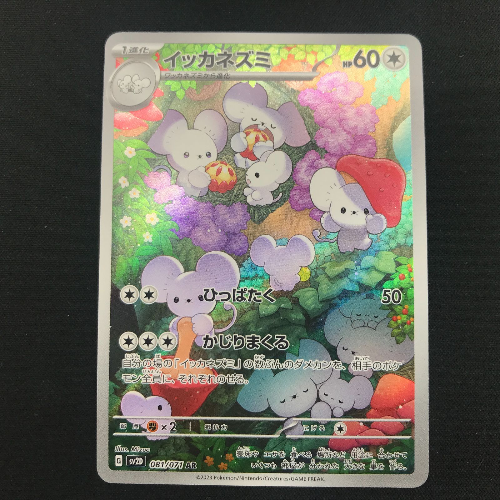 ポケモンカード イッカネズミ AR 4枚セット 盛岡店56-0719] AR イッカネズミ4枚セット SV2D 081/071[中古/パケ