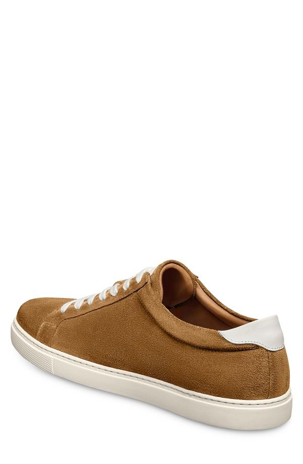 アレン エドモンズ メンズ シューズ スニーカー Allen Edmonds Courtside Sneaker Fawn｜詳細画像