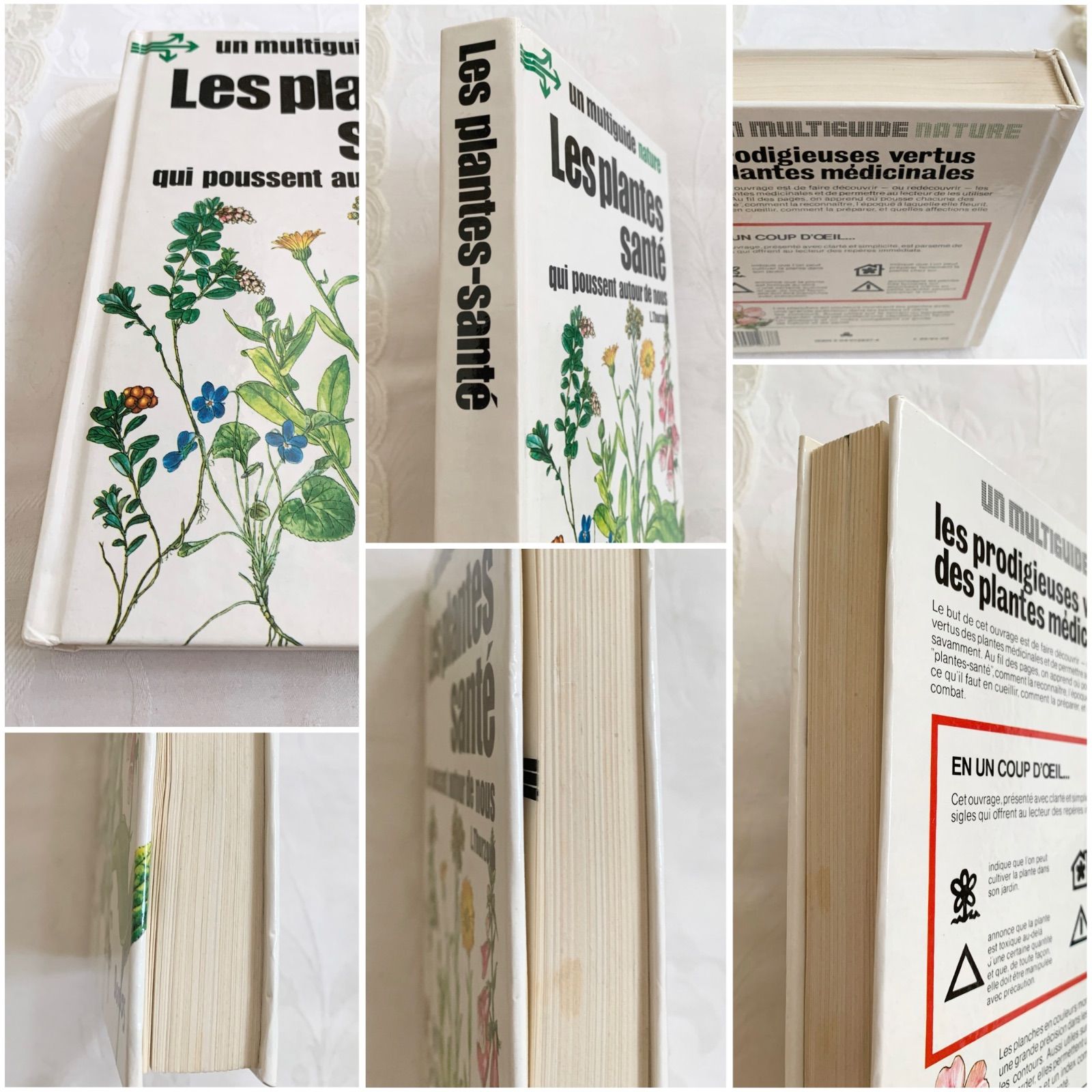 1984年 フランス語のビンテージ植物図鑑 - 薬草やハーブ- plantes