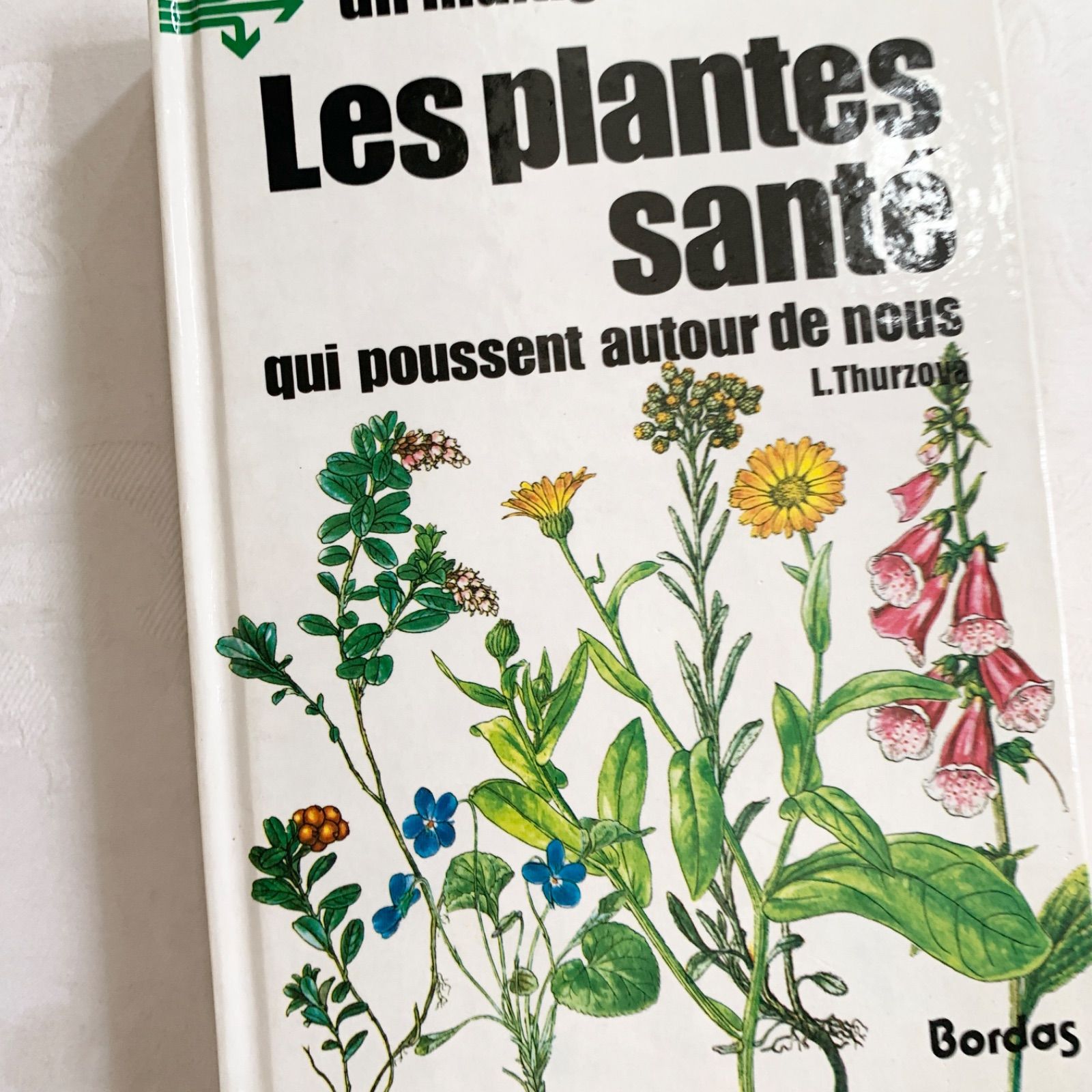 1984年 フランス語のビンテージ植物図鑑 - 薬草やハーブ- plantes 