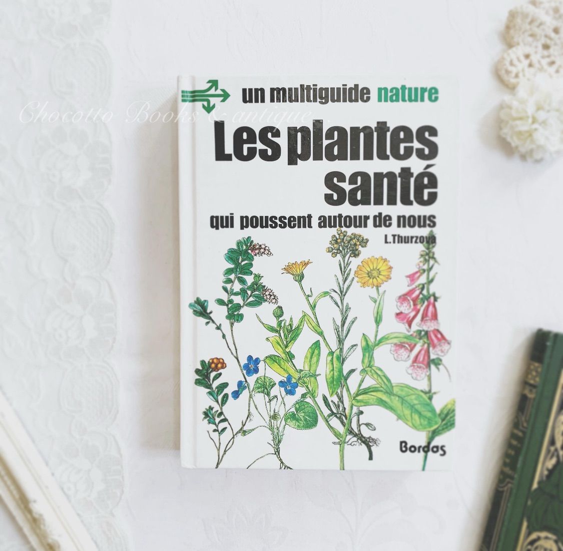 1984年 フランス語のビンテージ植物図鑑 - 薬草やハーブ- plantes