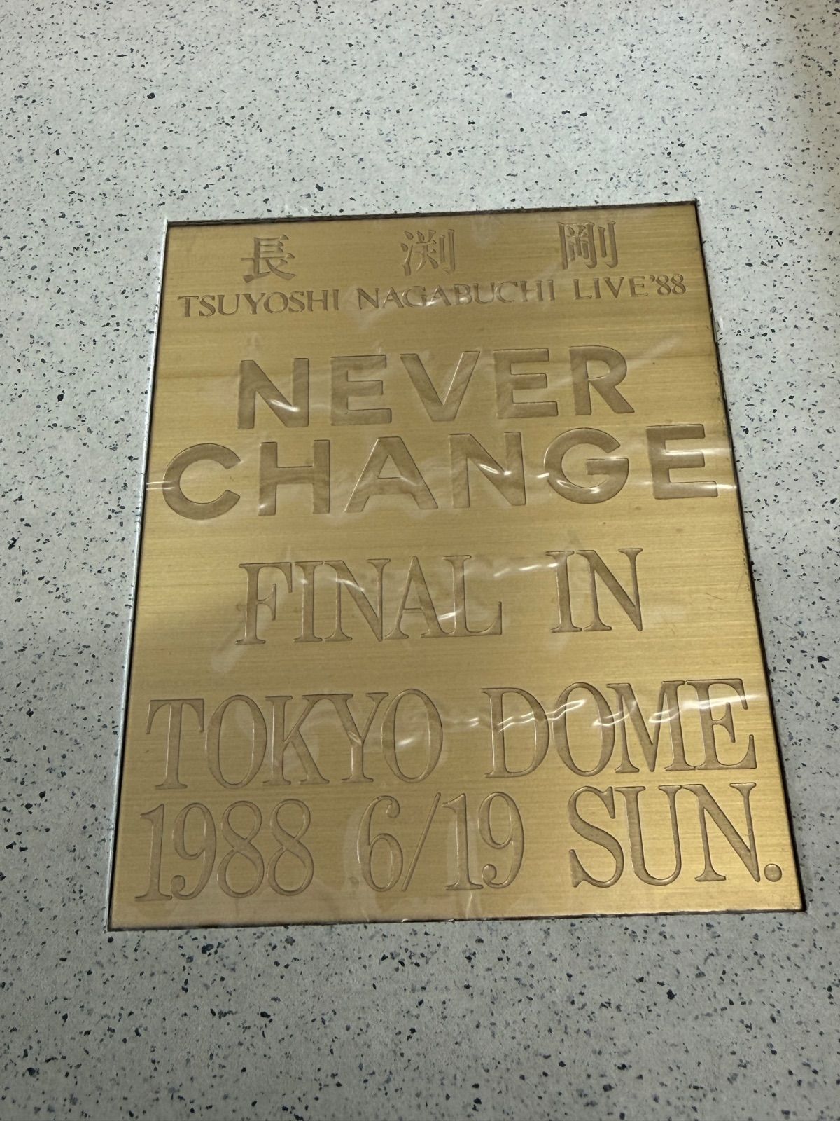長渕剛 NEVER CHANGE FINAL IN TOKYO DOME 1988 写真集 - メルカリ