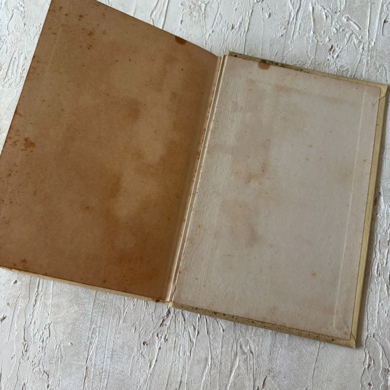 1931年 フランスアンティーク NELSON社 ネルソンブック洋書 L'Abbé