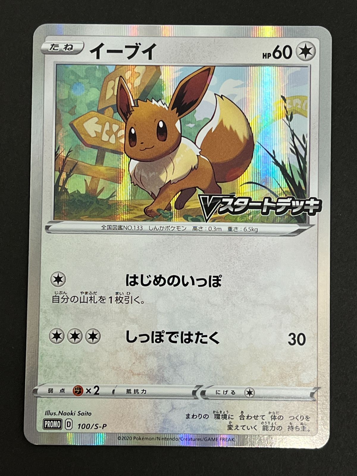 N080[PK]Y6028(ポケモンカード) イーブイ 100/S-P Vスタートデッキ