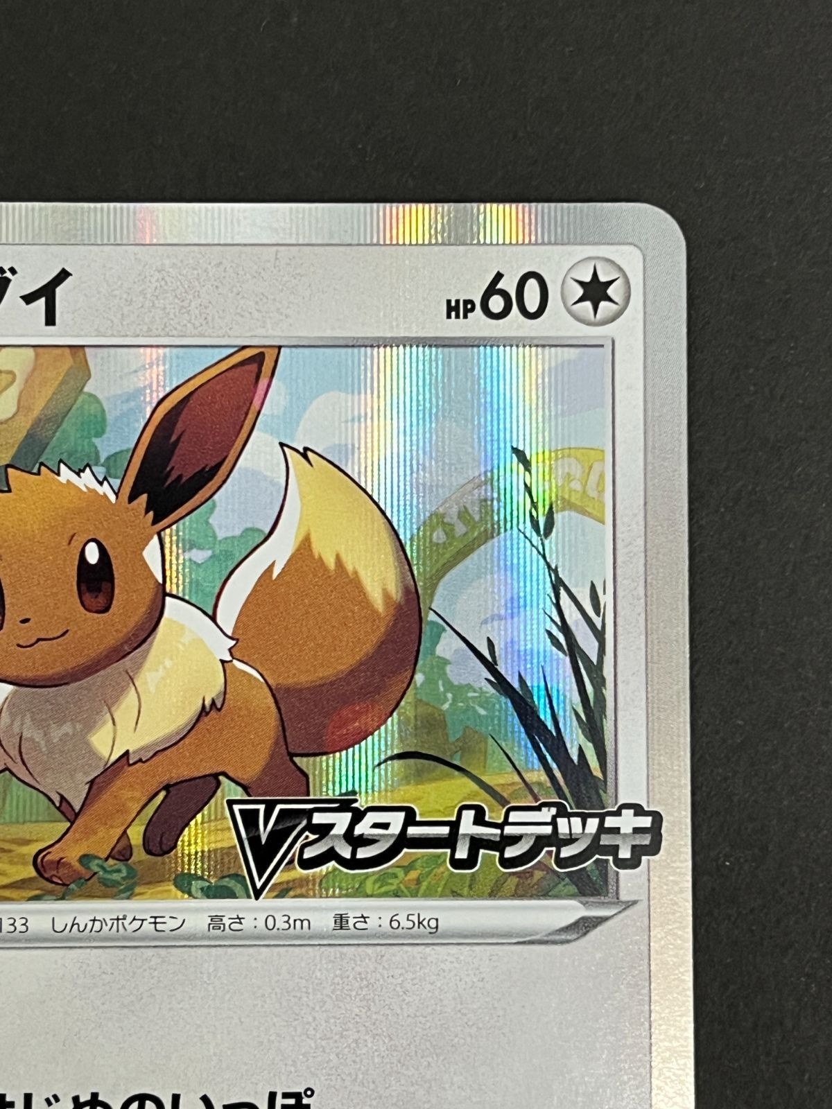 N080[PK]Y6028(ポケモンカード) イーブイ 100/S-P Vスタートデッキ