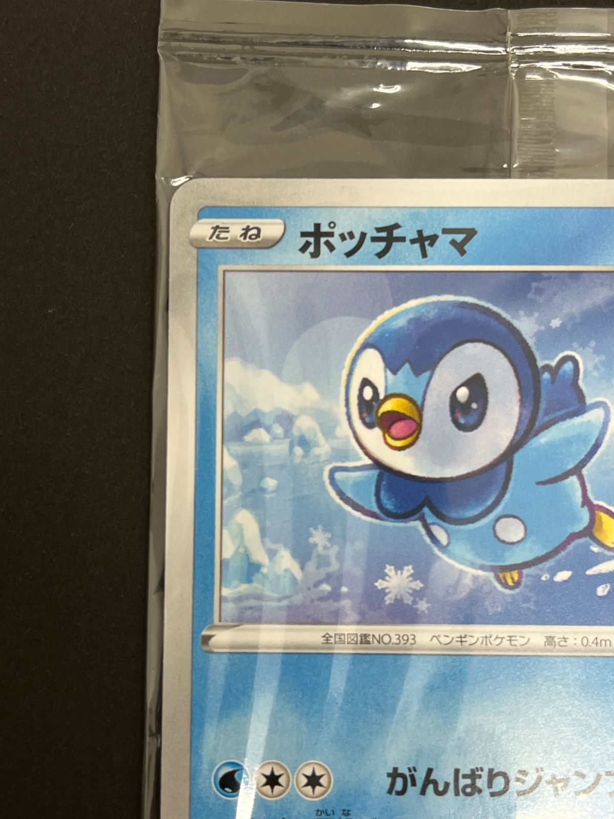 N080[PK]Y6037(ポケモンカード) ポッチャマ 232/S-P 25th 未開封 未