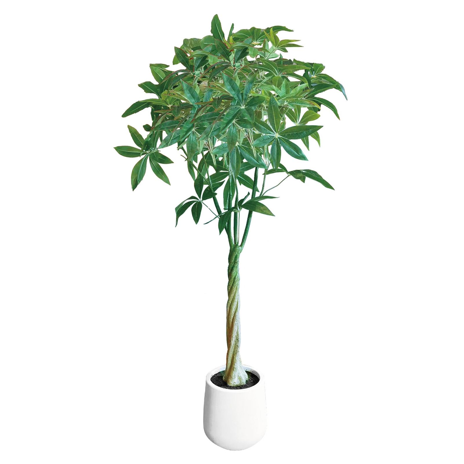 FIRSTSTARJAPAN 観葉植物 フェイク 人工観葉植物 大型 150cm 造花 オフィス おしゃれ 開店祝い 新築祝い 引越し 引っ越し 空気清浄 【パキラ 多幸の木】屋内 オフィス 鉢植え 植木 手入れ不要ｍａ 8,726円