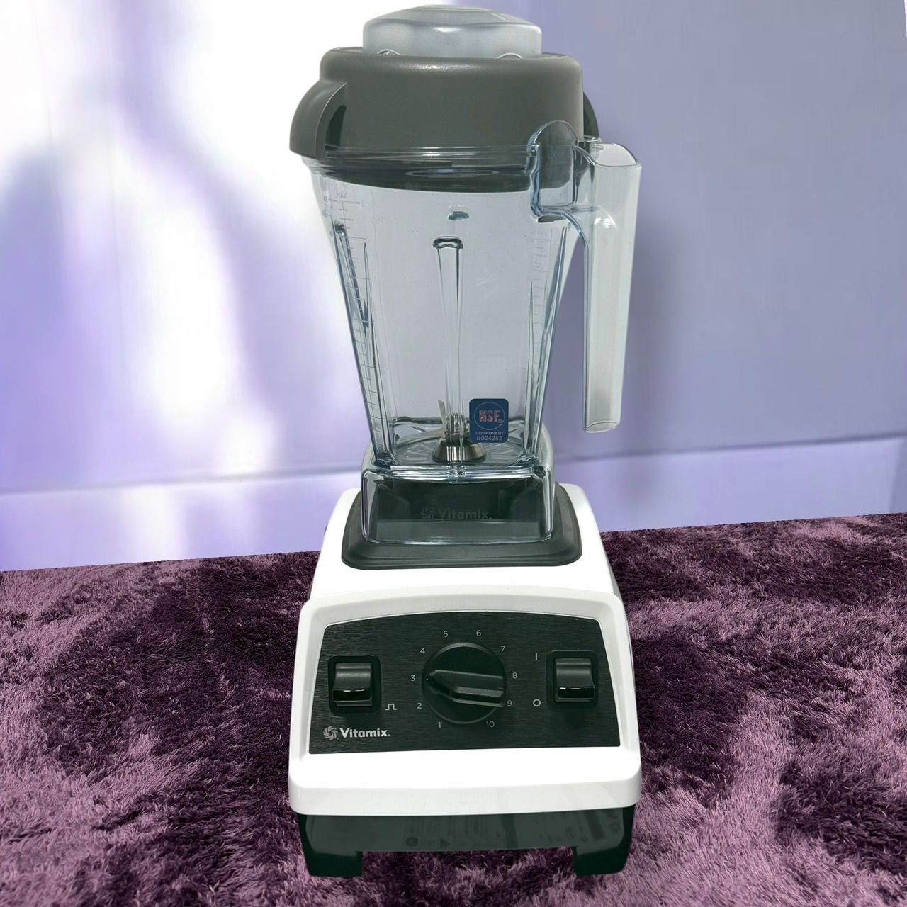 ☆動作品 送料無料 美品 Vitamix バイタミックス ブレンダー E310