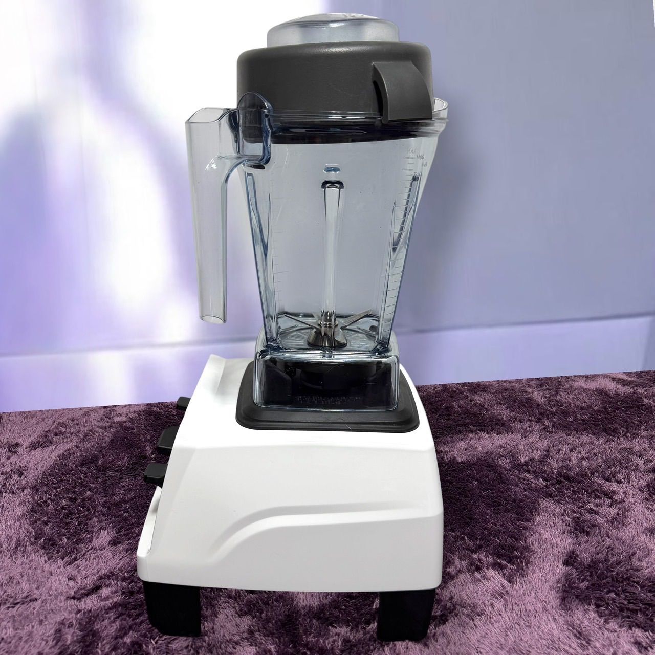 Vitamix E310ブレンダー VM0202モデル ☆動作品 送料無料 美品 Vitamix バイタミックス ブレンダー E310