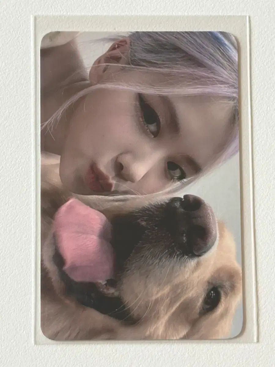BLACKPINK ロゼ THE ALBUM ktown4u ケタポ トレカ 出品 - メルカリ