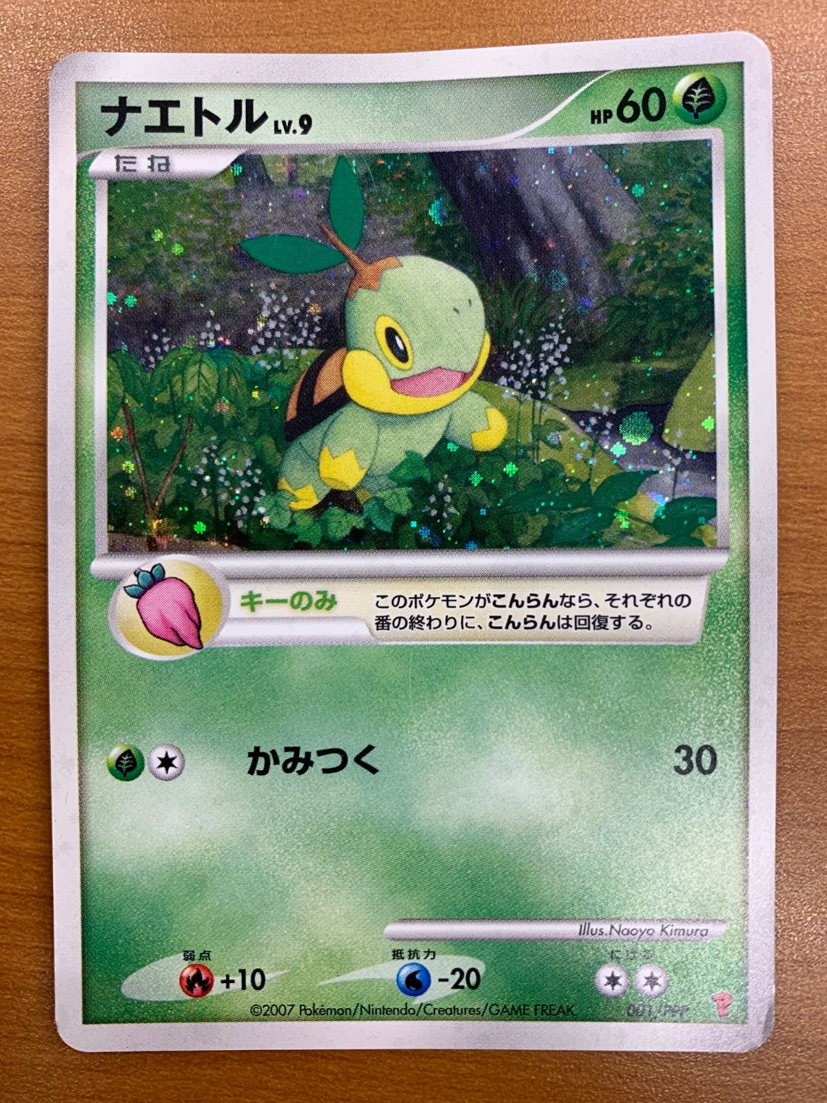 ポケカ ナエトル プレイヤーズ プロモ ポケポケ ポケカ ナエトル 状態C ナエトル Lv 9 プロモ 001 PPP