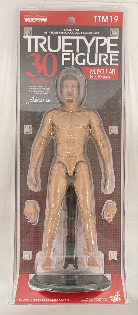 HOTTOYS MUSCULAR BODY VERSION CAUCASIAN MUSCULAR BODY TTM19