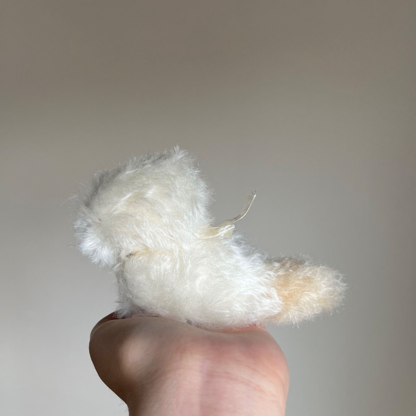 とけそうな、ねこ ( プリン色の子 ) Cora 猫 ぬいぐるみ 作家