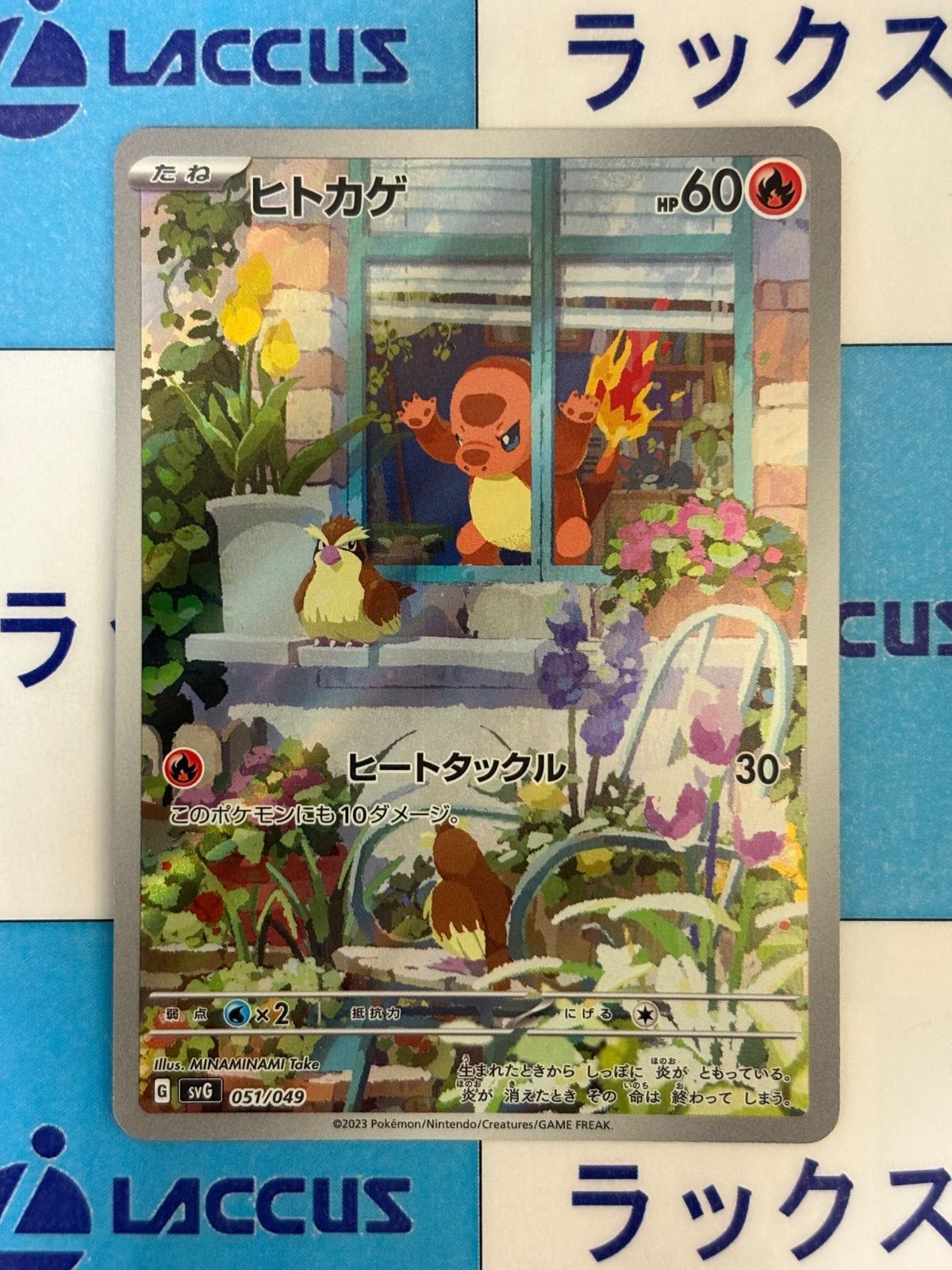 ポケモンカード/ポケカ ヒトカゲ 051/049 AR スペシャルデッキセットex