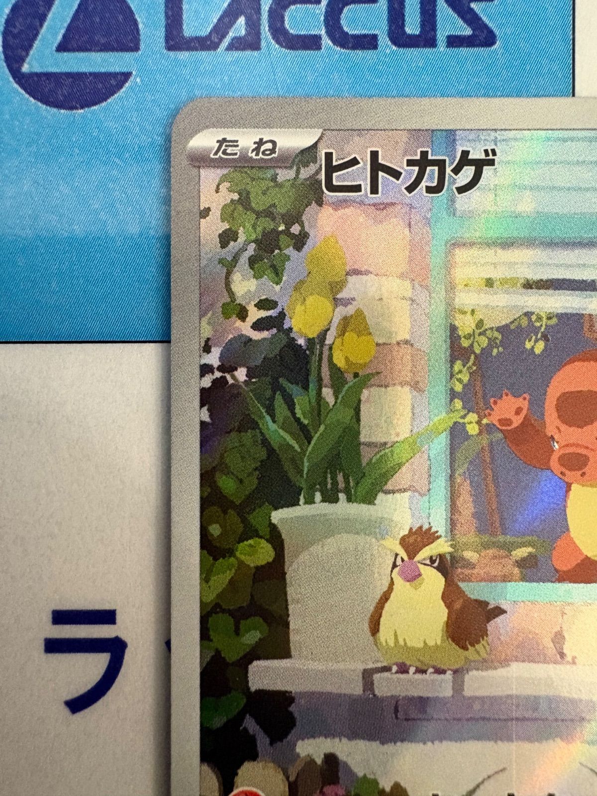 ポケモンカード/ポケカ ヒトカゲ 051/049 AR スペシャルデッキセットex