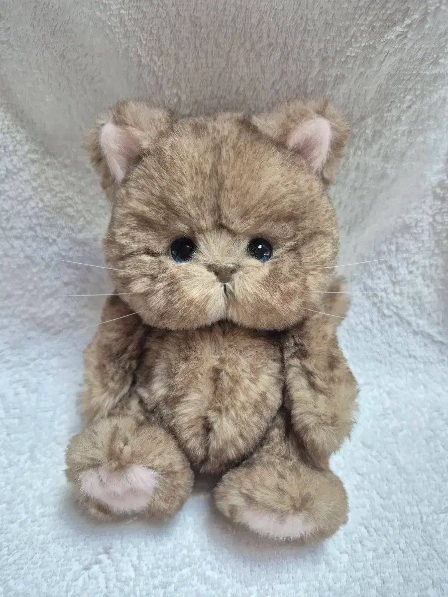 (新品)テディテイルズ レナキャット チョコ sサイズ 20cm