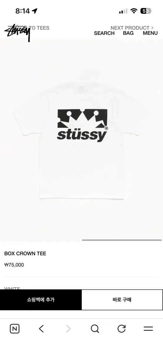 STUSSY ボックスクラウン Tシャツ
