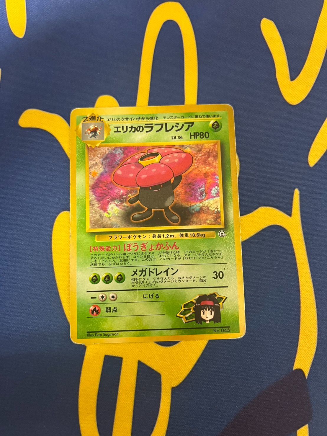 ポケモンカード「エリカのラフレシア LV.35 No.045」　旧裏 ポケモンカード「エリカのラフレシア LV.35 No.045」 旧裏 マークなし
