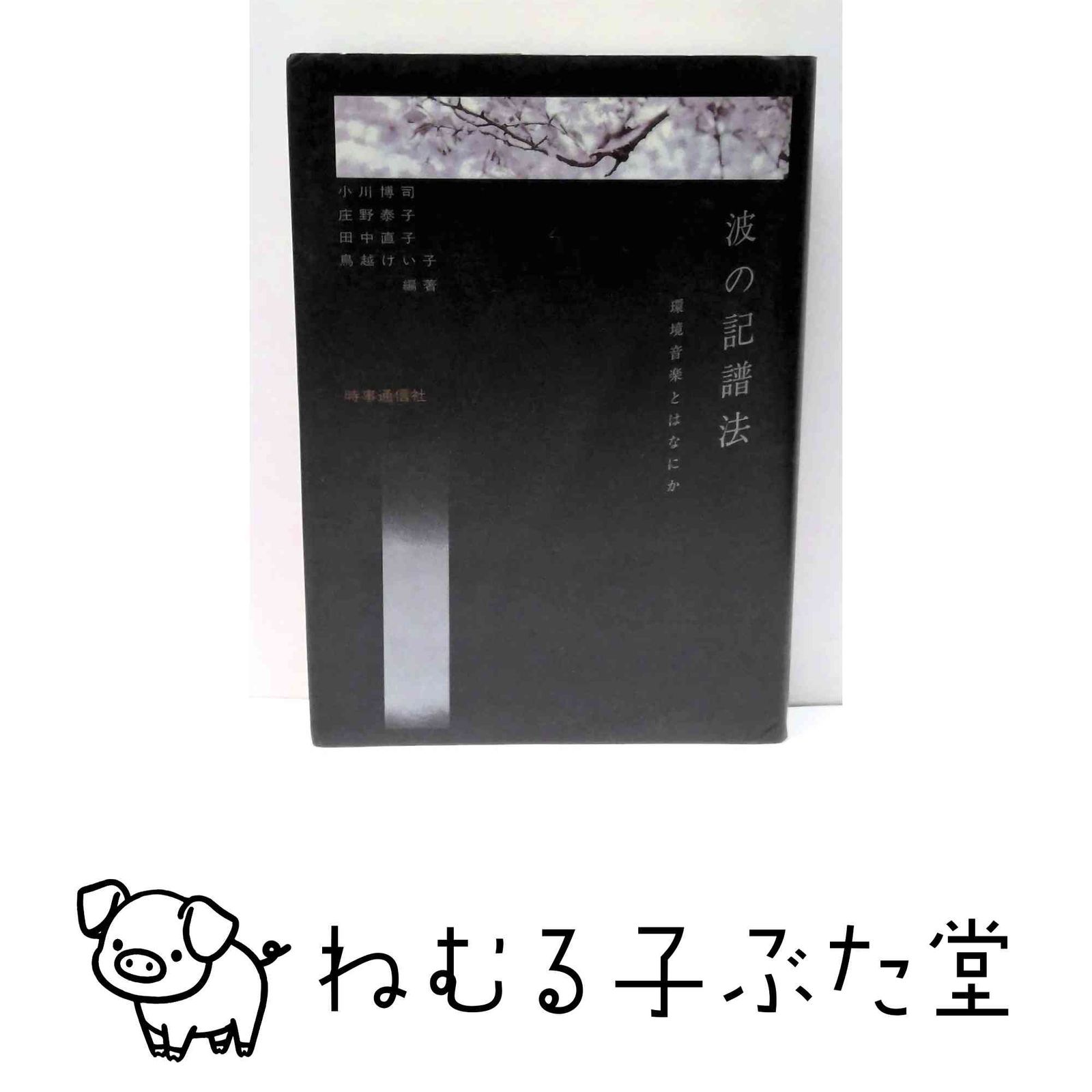 環境音楽とはなにか | 波の記譜法: 波の記譜法