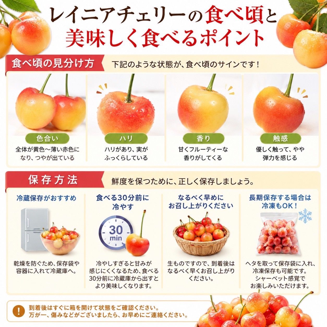 超大粒 レイニアチェリー シーズン終了 極大粒 レイニアチェリー 超大粒 9 0R 超大粒 ワシントン州産 レイニア 大粒 アメリカンチェリー レーニア プレミアム チェリー 500g 2kg さくらんぼ チェリー 化粧箱入り Rainier ワシントン レーニア 感動の野菜 果物 青果ソムリエ