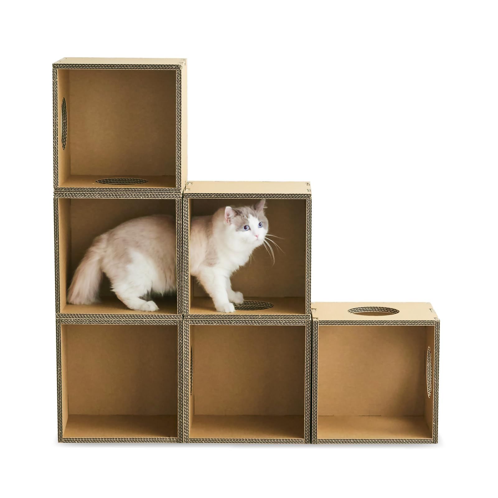 PAPER NEW STANDARD キャットボックス 6個セット 猫 強化段ボール 組み合わせ自由 工具不要 組??式 日本製 キャットハウス おしゃれ インテリア