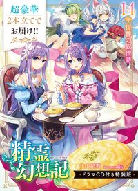 精霊幻想記 ドラマＣＤ付き特装版 １４ 特装版/ホビ-ジャパン/北山結莉（文庫） 6,752円