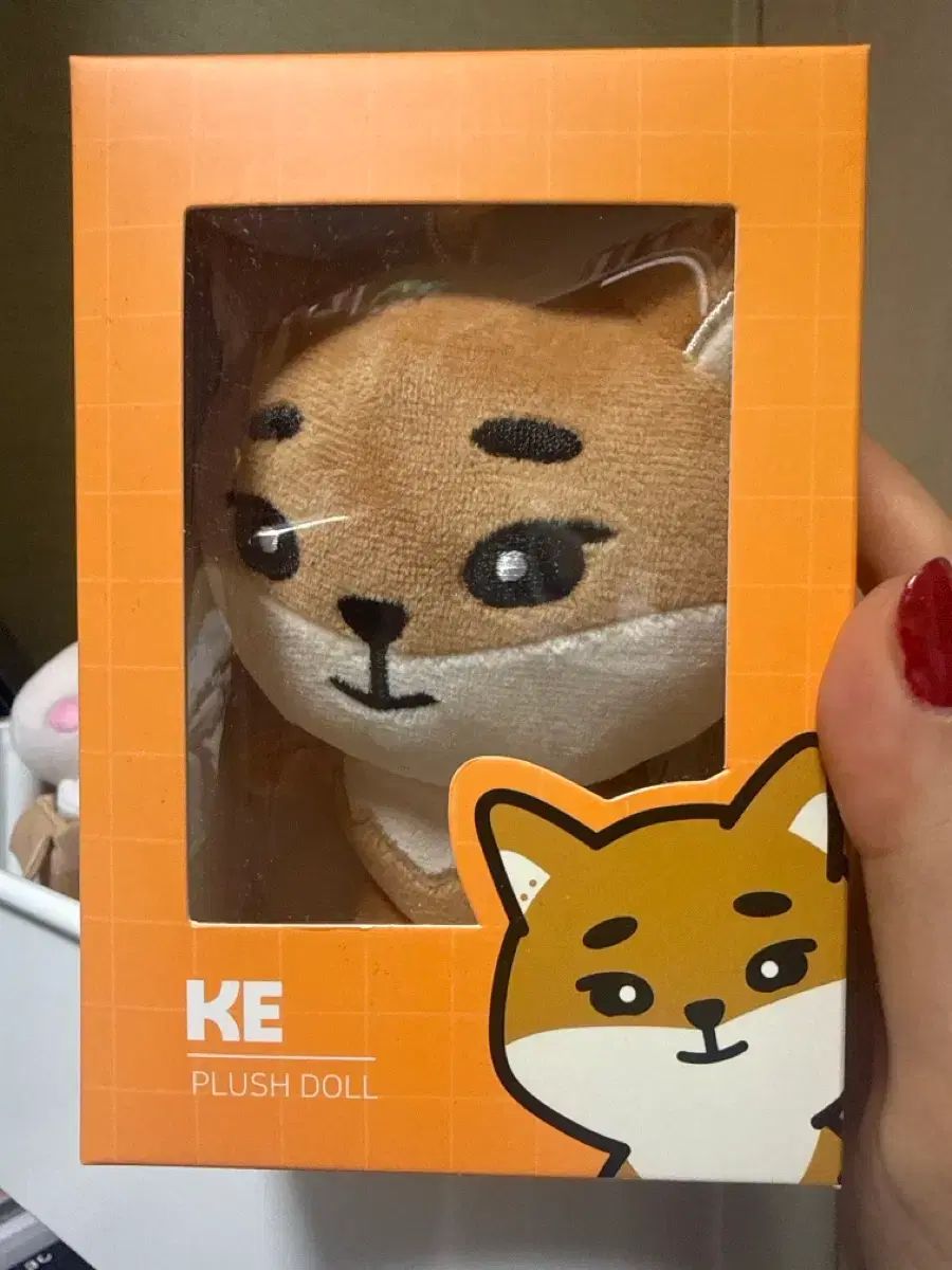DAY6（デイシックス）プチマルズ プチマル ドン 出品 DAY6