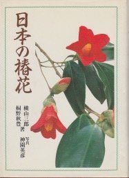 日本の椿花