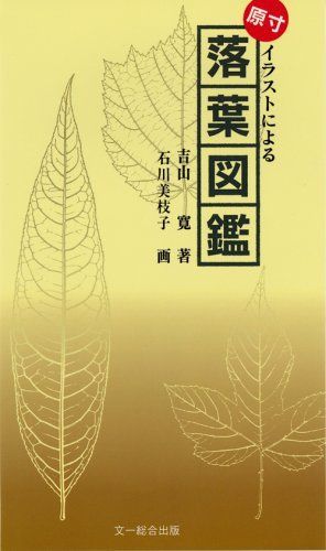 落葉図鑑: 原寸イラストによる