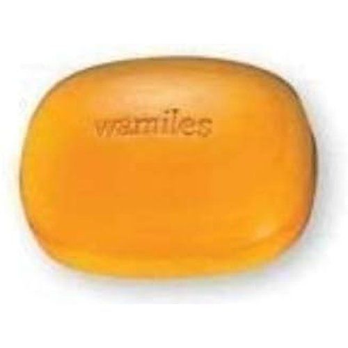 ワミレス wamiles ベーシックライン イオーヌソープ 100g ディッシュ
