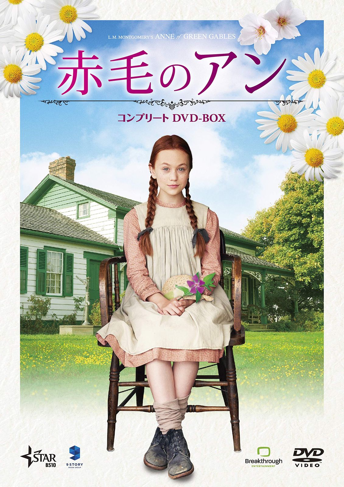 赤毛のアン コンプリートDVD-BOX 8,166円