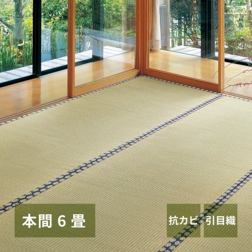 萩原 い草カーペット　谷川　本間6帖　-