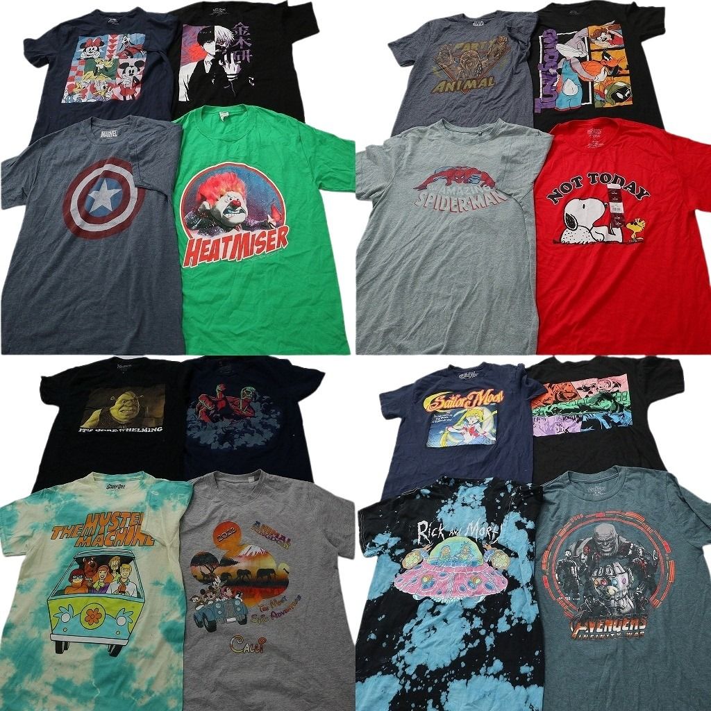 古着卸 まとめ売り キャラクター Tシャツ 16枚セット ( メンズ Ｓ ) セーラームーン ミッキーフレンズ スヌーピー 中古 古着 NF4648