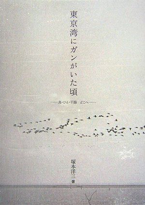 東京湾にガンがいた頃: 鳥・ひと・干潟どこへ