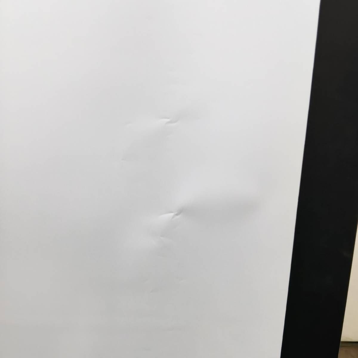 NEC 60インチ 自立式モバイルプロジェクタースクリーン VL-S60E - メルカリ