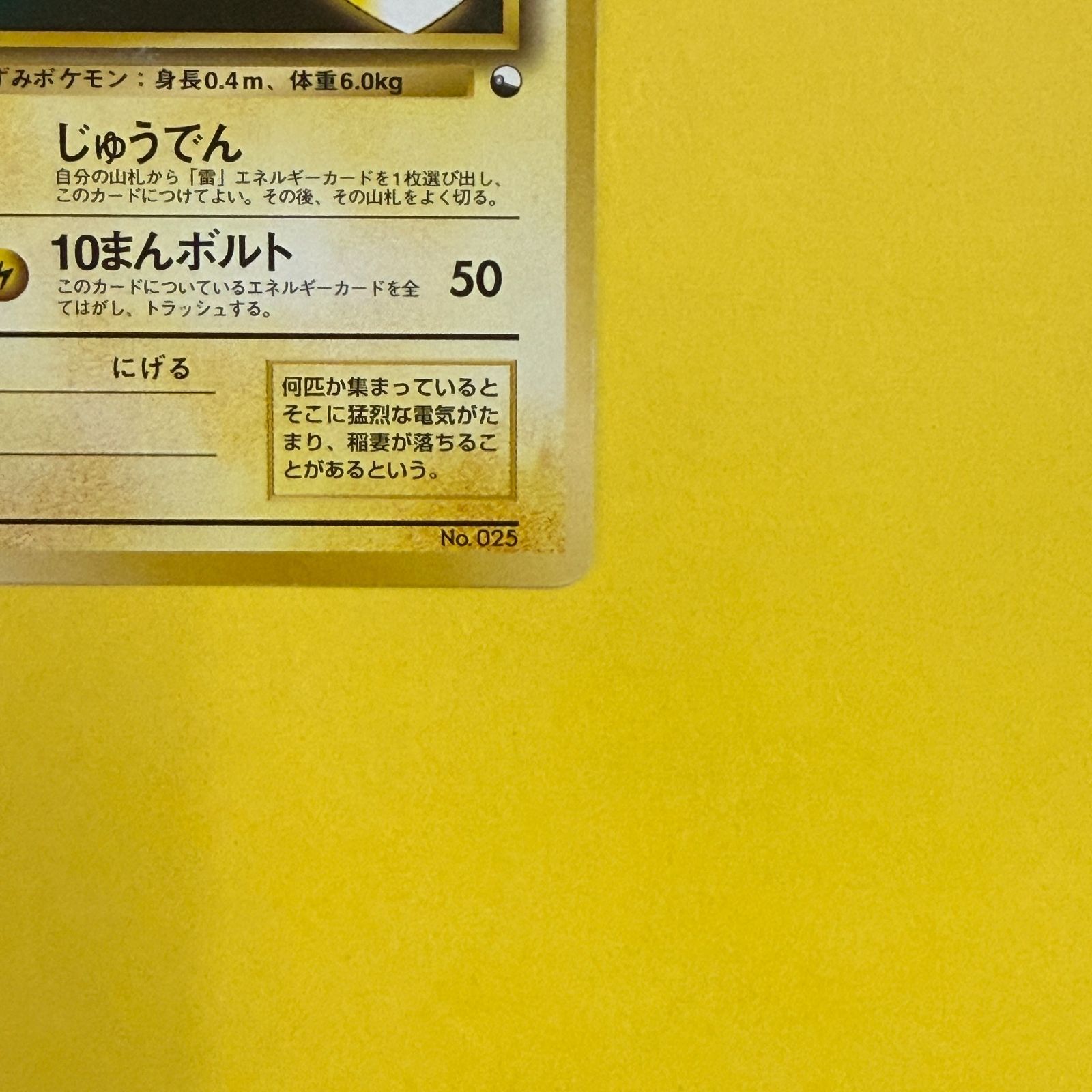 旧裏】ピカチュウ LV.13 HP50 次世代ワールドホビーフェア 特別拡張