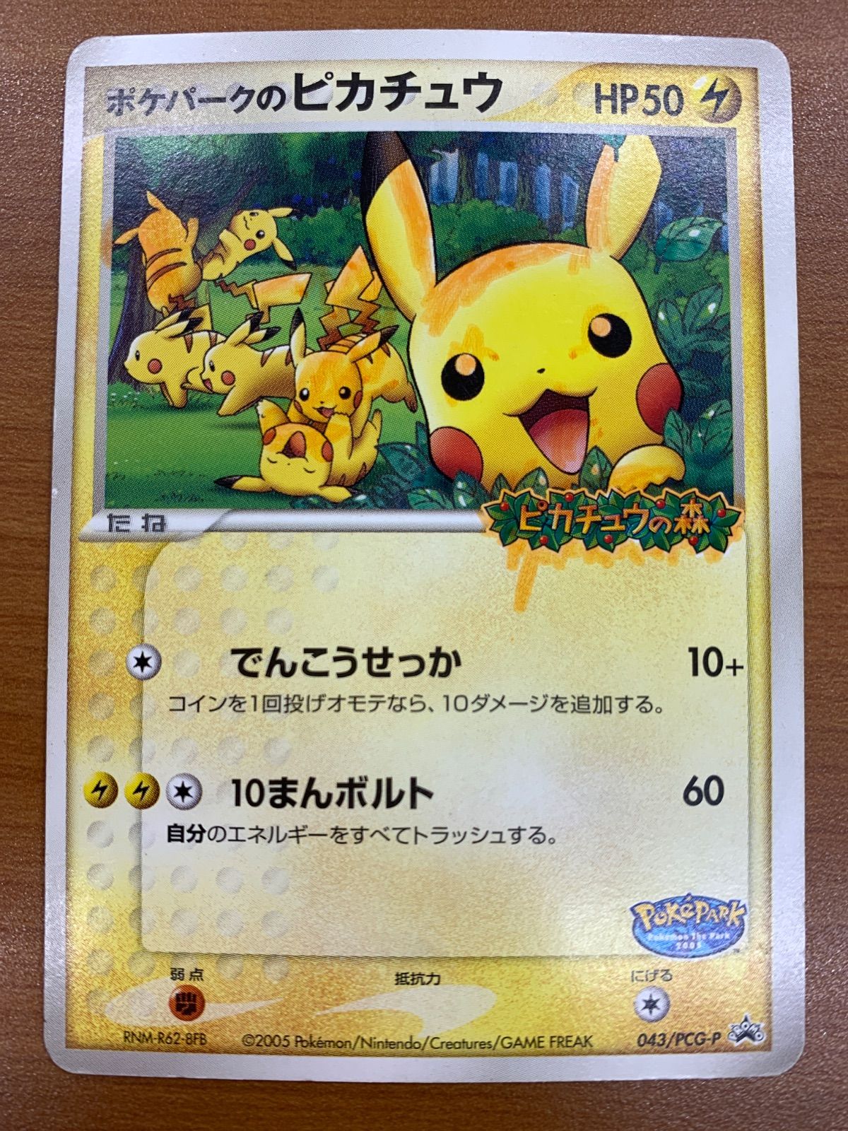 状態D ポケパークのピカチュウ 043/PCG-P ピカチュウの森 ポケモン