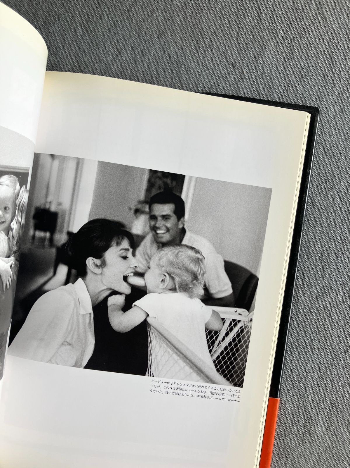 オードリー・ヘップバーン 280ページ 洋書写真集 ボブ・ウィロビー