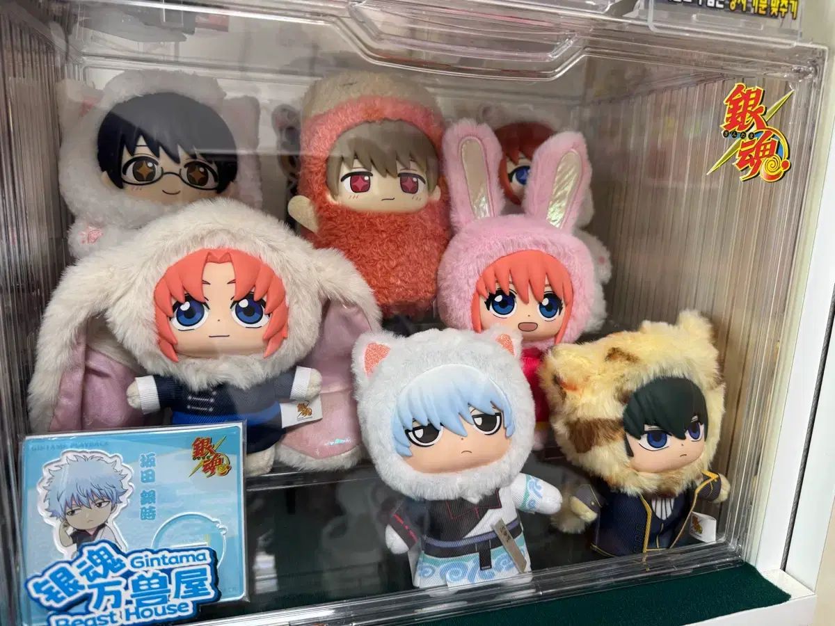 銀魂 GINTAMA DVD 大量 まとめ セット 限定、未開封あり Amazon.com