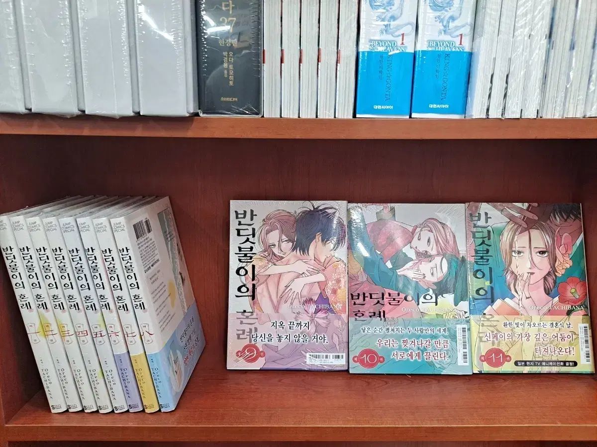 ホタルの 婚礼 1 11 未開封 漫画がすごく多い 安全プロ店舗