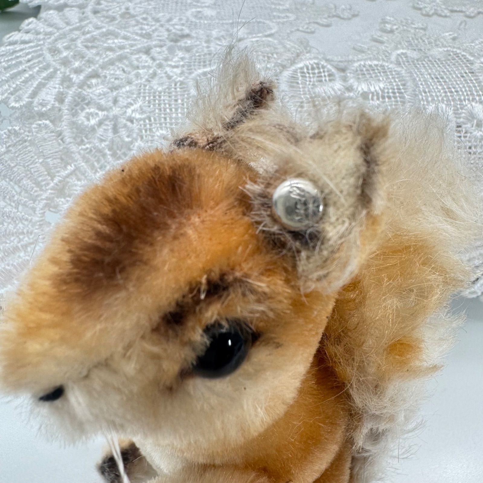 シュタイフぬいぐるみ リス シュタイフのリス | tsuitachi craft&brocante