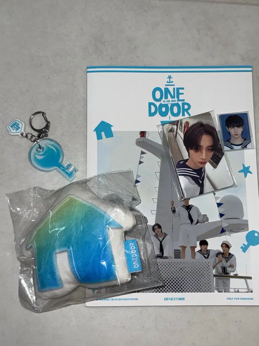 ボイネク ONE ドアメンバーシップ キット 1期