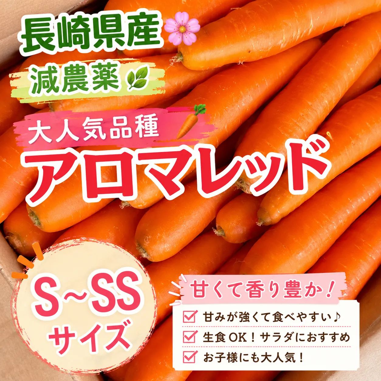 ニンジン様 専用 関東の虎さま専用・日向トウキ(日本山人参)② 楽天
