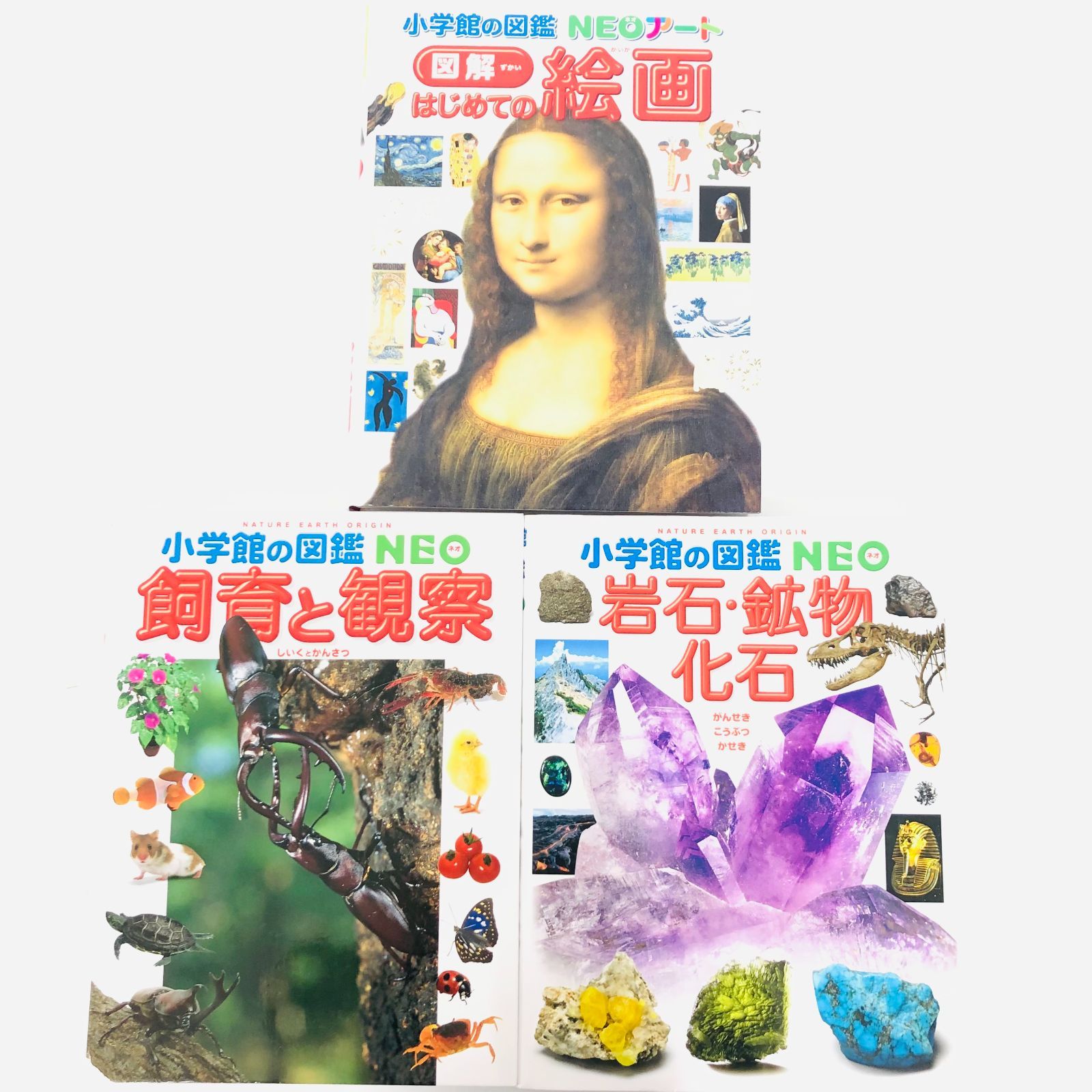 小学館の図鑑NEO まとめ売り ◇[F]図鑑まとめ売り11冊 小学館の図鑑NEO DVD5枚付き - メルカリ