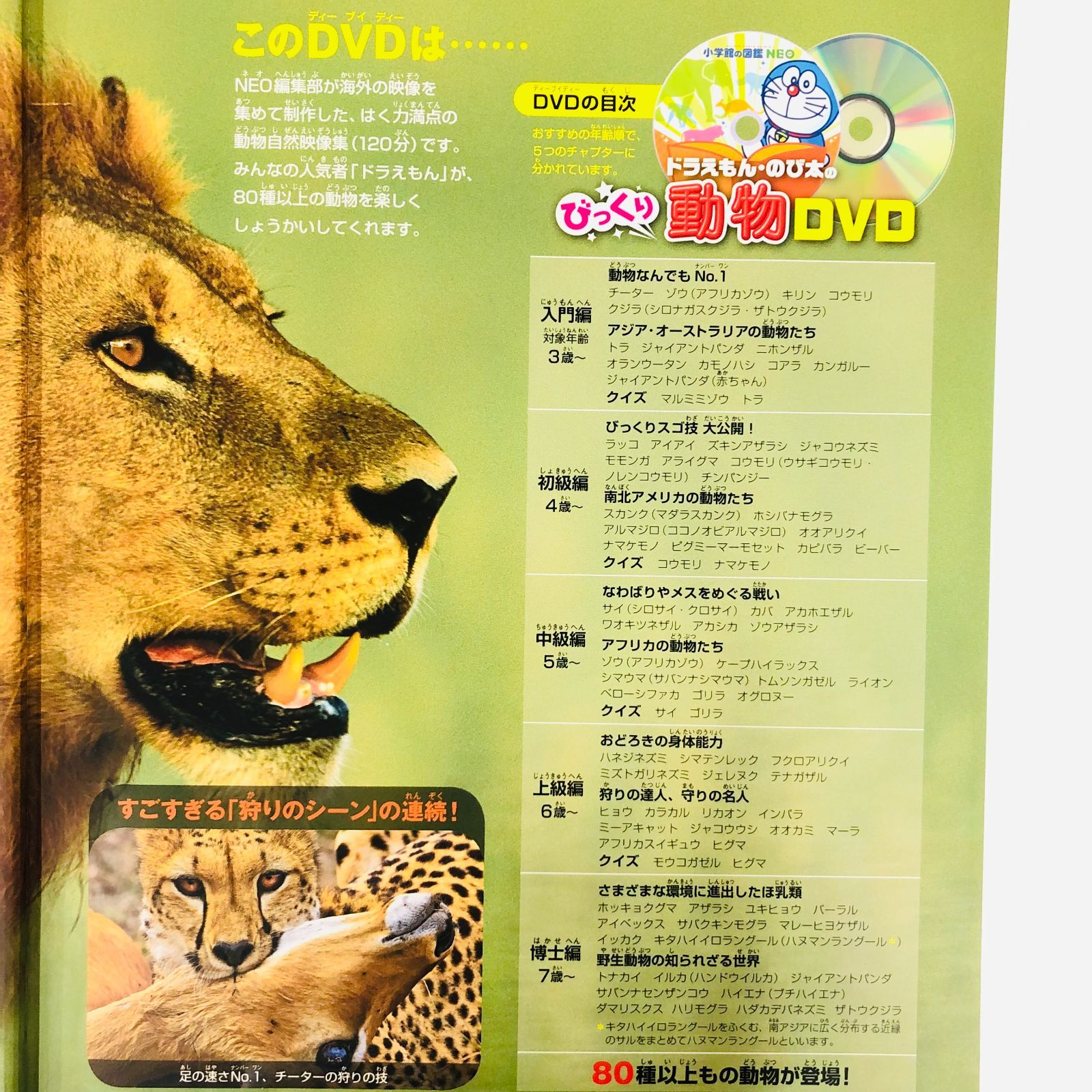 ◇[F]図鑑まとめ売り11冊 小学館の図鑑NEO DVD5枚付き - メルカリ