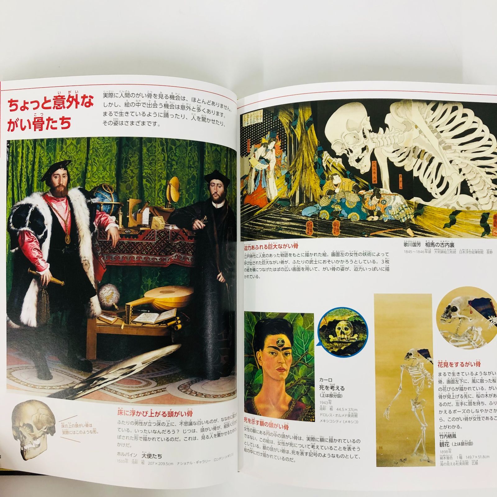 ◇[F]図鑑まとめ売り11冊 小学館の図鑑NEO DVD5枚付き - メルカリ